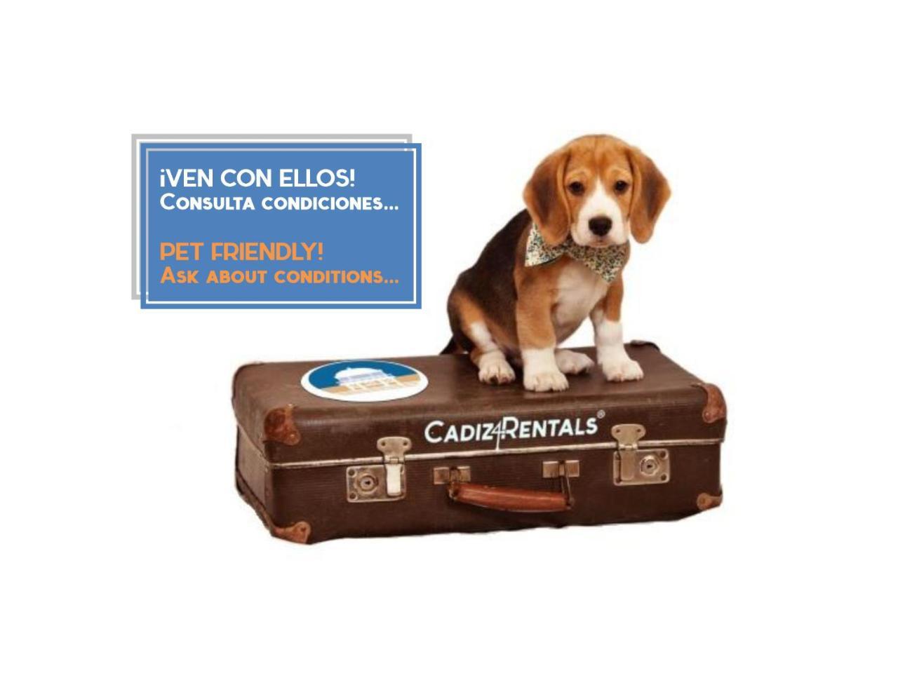 El Refugio Del Catedratico By Cadiz4rentals (adults Only) Apartamento *